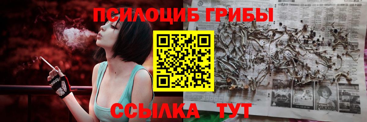 Симферополь  Псилоцибиновые грибы MAGIC MUSHROOMS  закладки  Вход с VPN 